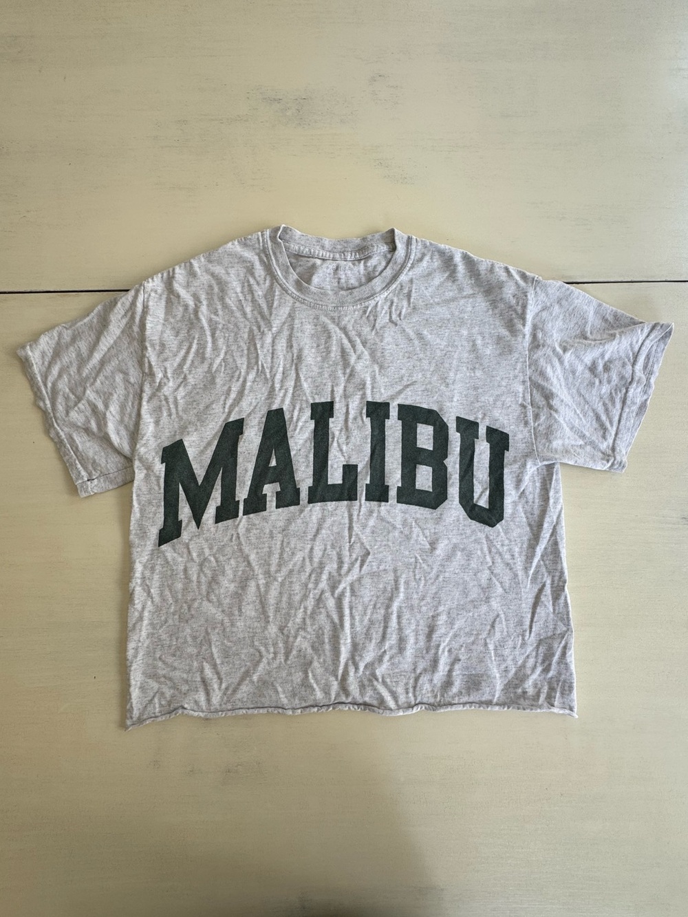 Brandy Melville Graphic Tee